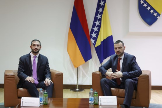 The Chair of the Delegation of the Parliamentary Assembly of Bosnia and Herzegovina (PABiH) to the Parliamentary Assembly of the Council of Europe (PACE), Saša Magazinović, met with the Vice President of the Parliament of the Republic of Armenia